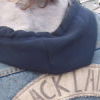 Blacklabel 1